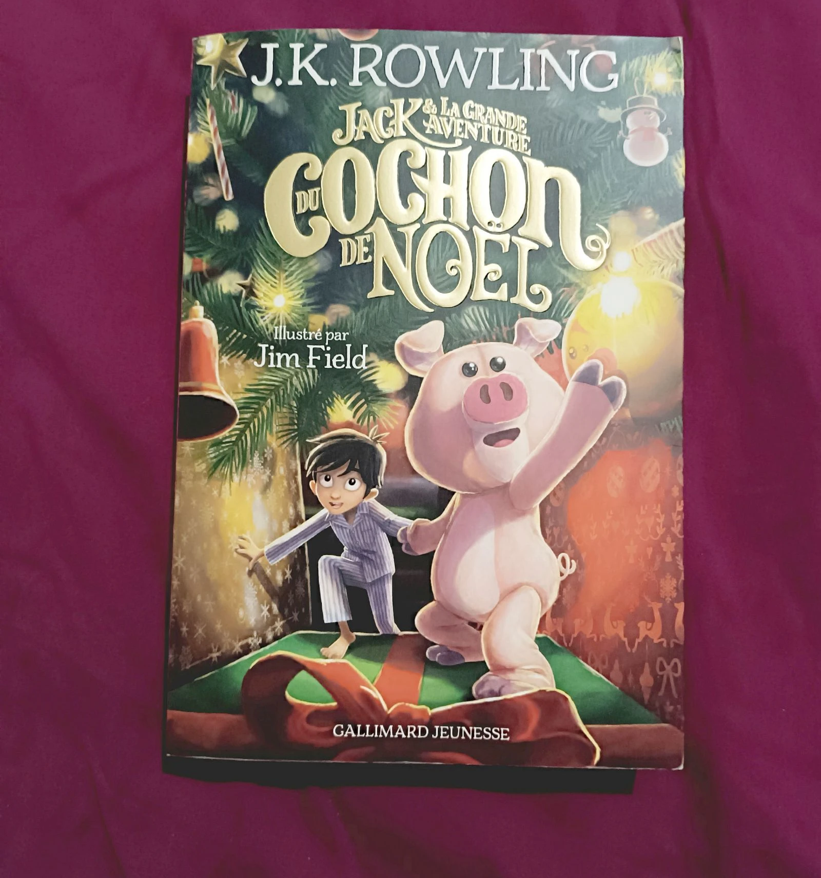 Livre jack et la grande aventure du cochon de noel